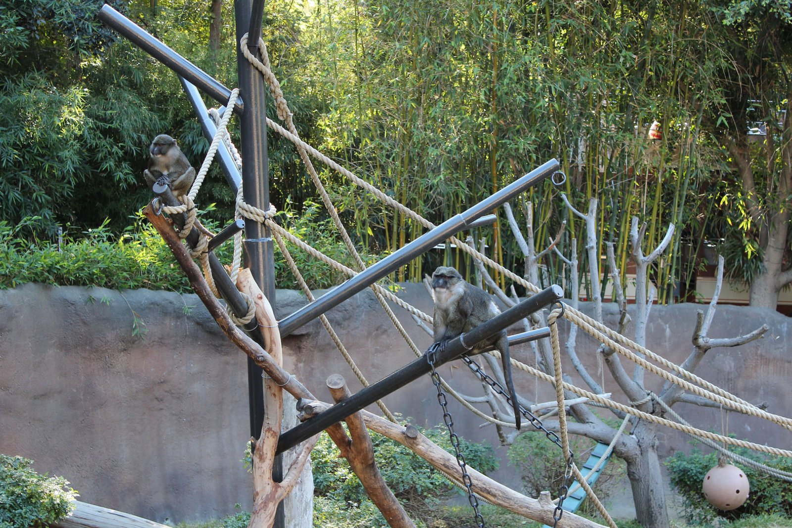 San Diego Zoo Part II 111